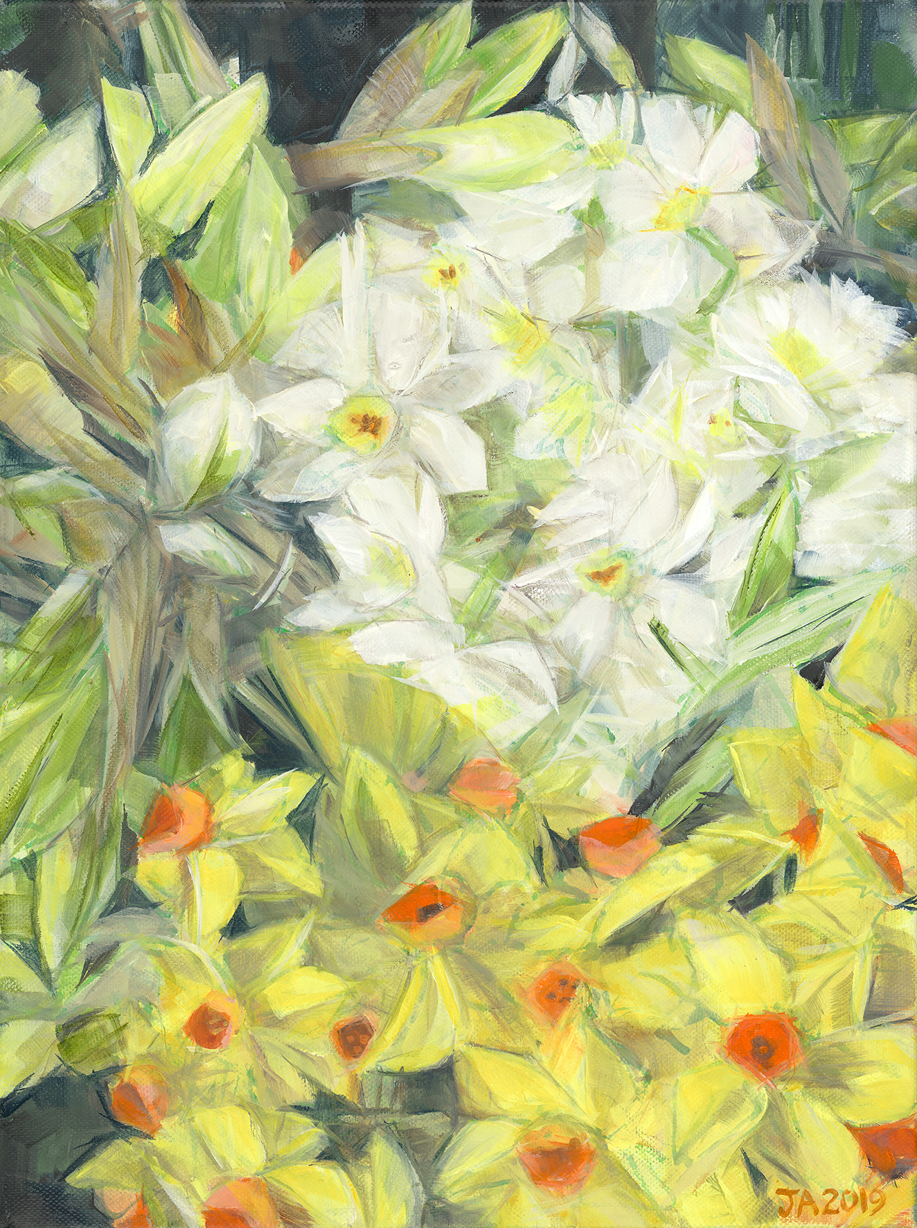 Daffodils as an A3 Giclee print