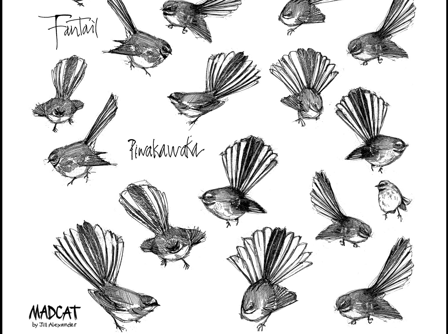 Fantail / Piwakawaka Classic T shirt